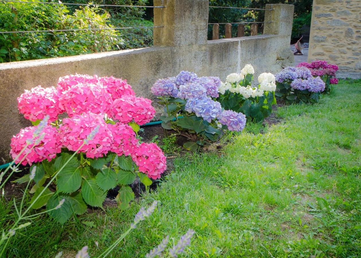 Bed and Breakfast La Jourdane Saint-Alexandre Zimmer foto